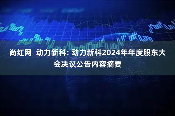 尚红网  动力新科: 动力新科2024年年度股东大会决议公告内容摘要