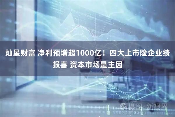 灿星财富 净利预增超1000亿！四大上市险企业绩报喜 资本市场是主因