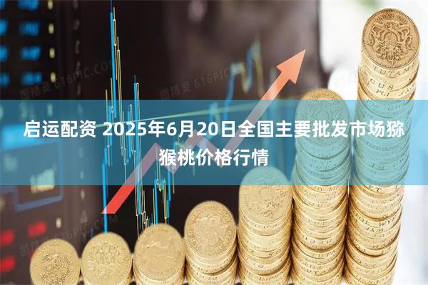 启运配资 2025年6月20日全国主要批发市场猕猴桃价格行情