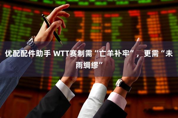 优配配件助手 WTT赛制需“亡羊补牢”，更需“未雨绸缪”