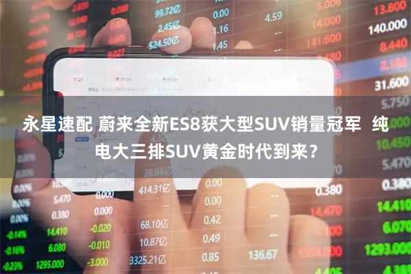 永星速配 蔚来全新ES8获大型SUV销量冠军  纯电大三排SUV黄金时代到来？